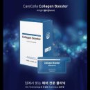 셀라헤어 이미지