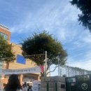 신서중학교 앞 이미지