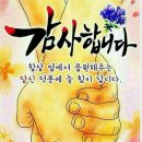 카펙스 이미지