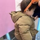 러빗포토