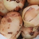 신토불이건강원 이미지