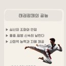 류카츠대학
