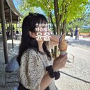 5068 | 비비안웨스트우드 VW-5068-001 선글라스 후기 ,면세품 추천