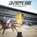더비더비 이미지
