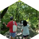 산울림식당 이미지