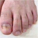 원탑바이오 이미지