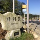 구룡2통 Daum카페
