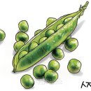 백세시대 이미지