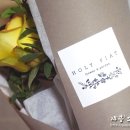 홀리피앗 이미지
