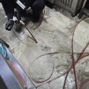 가채리식당 이미지