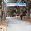 고성군청본관(3층) | 홍천군 수타사 - 수타사 홍우당 부도, 수타사 삼층석탑