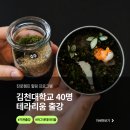 꿈을담는공방 | 김천대학교 진로캠프 공예 프로그램 │ 마그넷 테라리움 & 미니 테라리움 출강 후기