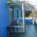 하양혈리 이미지