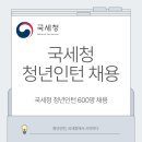 부산지방국세청(본청) | 2026년 국세청 청년인턴 채용공고 총정리