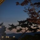 스푼글램핑 티스토리