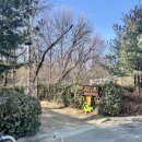 강아지 대공원 | 서울 광진구 무료 반려견 놀이터 I 어린이대공원 구의문 강아지 운동장 이용후기 &amp; 겨울 휴장 정보