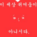 버블베어 이미지
