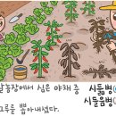 [298] '시듦병'과 '시들음병' 이미지