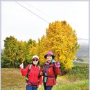 섬진강자전거길1 이미지