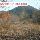 진전면927 이미지