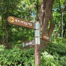 김홍도미술관 화장실 이미지