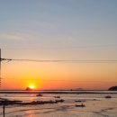 용인대 일출 태권도장 이미지