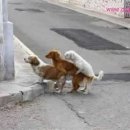 웃는시간 이미지