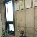 신안마원 이미지