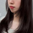 머리하는,나