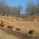 명성농장 이미지