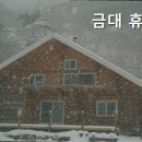 금대펜션 이미지