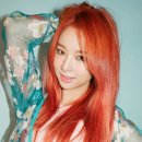 솔지 이미지