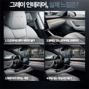 테슬라 젠그레이 인테리어 등장, 화이트 시트 대신 선택해야 할 이유