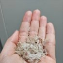 한결 | 부산 등드름 레브에스테틱 내돈내산 재생관리 후기