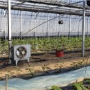 정수농장 이미지