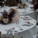 하우스(HAUS) | [Wedding]본식 아이폰스냅 | 벨레 하우스(Belle Haus) 계약 후기 📷