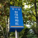 강남 압구정동 압구정현대아파트 33평형 전세(한강변 아파트) 관련 디스코드 부동산 서버 안내 20221023 이미지