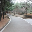 e-이화 이미지