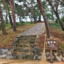고금면-2 | 전남 완도 여행 가볼만한 곳 충무사 월송대 이순신기념관 솔직한 방문후기
