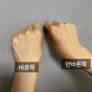 프루업브라