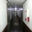 경북대 담장쪽 이미지