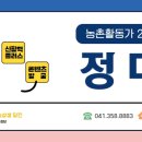 왕매실녹색농촌체험마을 이미지