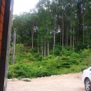 대일주택관리 이미지