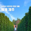 효돈로 | 베케 제주 자연주의 정원 위치 주차 서귀포 카페 방문후기