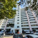 샘모루초교 이미지