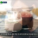 알쓸신농 요구르트 이미지