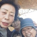 신안자연휴양림 이미지