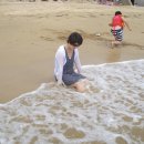 덕원해수욕장 이미지