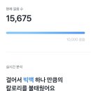 압구정메이트동물병원 이미지