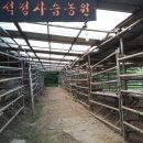 석정사슴농원 이미지